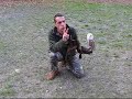 Il falconiere di Codana 4