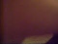 funny gecko eating superworm