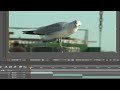 Adobe Premiere Pro CS4 & AVCHD 2of3