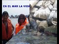EDUCACI�N ECOL�GICA