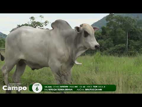 1 De Olho na Fazenda SELEO DO CAMPO