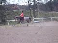 Bombo