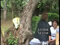 As Mós em Mogofores -- 1