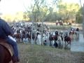 san rafael de ures.. el molino cabalgata 2008..