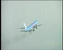 Thomsonfly Bird strike