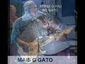 Atirei o pau no gato