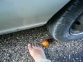 chesnuts and toes nice sound under a havey car torture for fun
