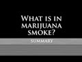 Glaucoma And The Myth of Medical Marijuana / Anti-Marijuana Video