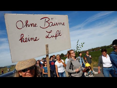 Hambacher Forst: Tausende protestieren gegen Abholzun ...