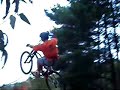 Niagara Turismo aventura Bici v/s Canopy