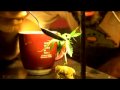 HIGH TIMES REALITY TV: Miss HT vs. Howard Stern HIGH TIMES REALITY TV: Miss HT vs. Howard Stern