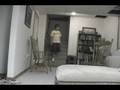 videos de Stupid cat!