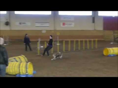 See video