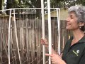 4 simple Trellises 4 simple Trellises