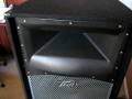 Peavey SP4 speakers