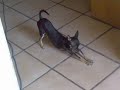 Eri tocando 3 !!