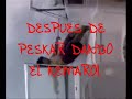 Mono y faxtor