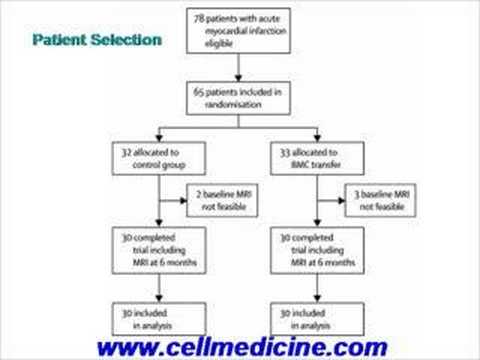 Adult Stem Cells For Heart Disease: ...
