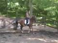 Diego Summer 2008. Maddox Dressage
