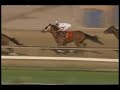 Preakness Stakes 133: Stevens Narrates Preakness Stakes 133: Stevens Narrates