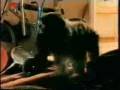videos de The side effects of Technology - No veas mucha tele