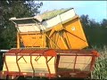 hesston field queen eext drenthe hesston field queen eext drenthe