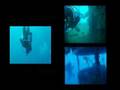 Bluefindivers Naxos Diving Center