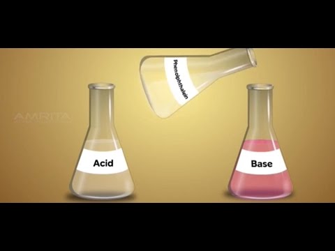 Acids and Bases - Class 10 Tutorial - YouTube