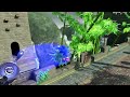 Sonic Unleashed ? China gameplay