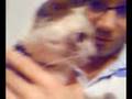 videos de Tuesy the cat having senior moments
