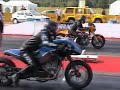 WITTSTOCK 2008 = TERMIN ABGESAGT !! WITTSTOCK 2008 = TERMIN ABGESAGT !!