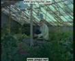 UN PINGÜINO EN MI ASCENSOR - Arqueología en mi jardín