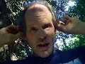 Auricular Acupressure Auricular Acupressure