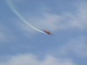 royal jordanian falcons