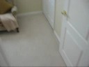 www.TheDuncanDuo.com Tampa home blends the best of value, location and quality. Just a few short blocks from Bayshore Blvd, be in the midst of all that is South Tampa without the high price tag! Enjoy the wide open floor plan with large living, family, and formal dining rooms featuring neutral 18 inch tile throughout all living areas. This floor plan is designed to entertain your family and friends. Your new kitchen features granite countertops, ample countertop and cabinet space, newer cabinets with upgraded fixtures, a tile backsplash, recessed lighting and an eat in bar. Your 300SF covered lanai is a great location for grilling out or enjoying the wonderful Florida weather. The spacious lot is wonderfully landscaped and even has plenty of room for a pool. While most homes built in this era are short on closet or storage, this home continues its impressive record here as well with a large master closet and spacious storage building in the backyard. Additional upgrades and amenities include an updated 2nd bathroom with granite countertop, newer roof, newer A gutters, termite protection, fenced yard, and its VERY clean and neutral. Close to downtown, SoHo, Hyde Park, Bayshore Blvd and all that South Tampa has to offer. This home will constantly remind you that you got a great value, but you didn't skimp on the details! T2331866Tuneinto The Duncan Duo Real Estate Show on 970AM WFLA Every Sunday at 10am, Search the Tampa Bay MLS w/ interactive maps and street view at www <b>...</b>