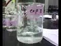 Chemical Kinetics: Experiment 3