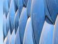 Beijing Pillowtalk * Water Cube Olympics