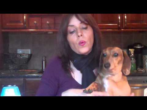 how to use skin so soft on dogs
