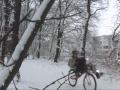 View Video