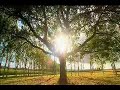 Andre Rieu Morning