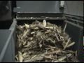 10 million BTU wood chip boiler 10 million BTU wood chip boiler