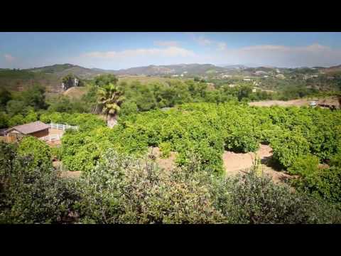 0 Best Place To Buy Your Veggies, Grocery Store, Farmers Market Or Maybe From A CSA
