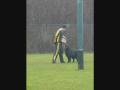 videos de blitzer stellen ck.wmv