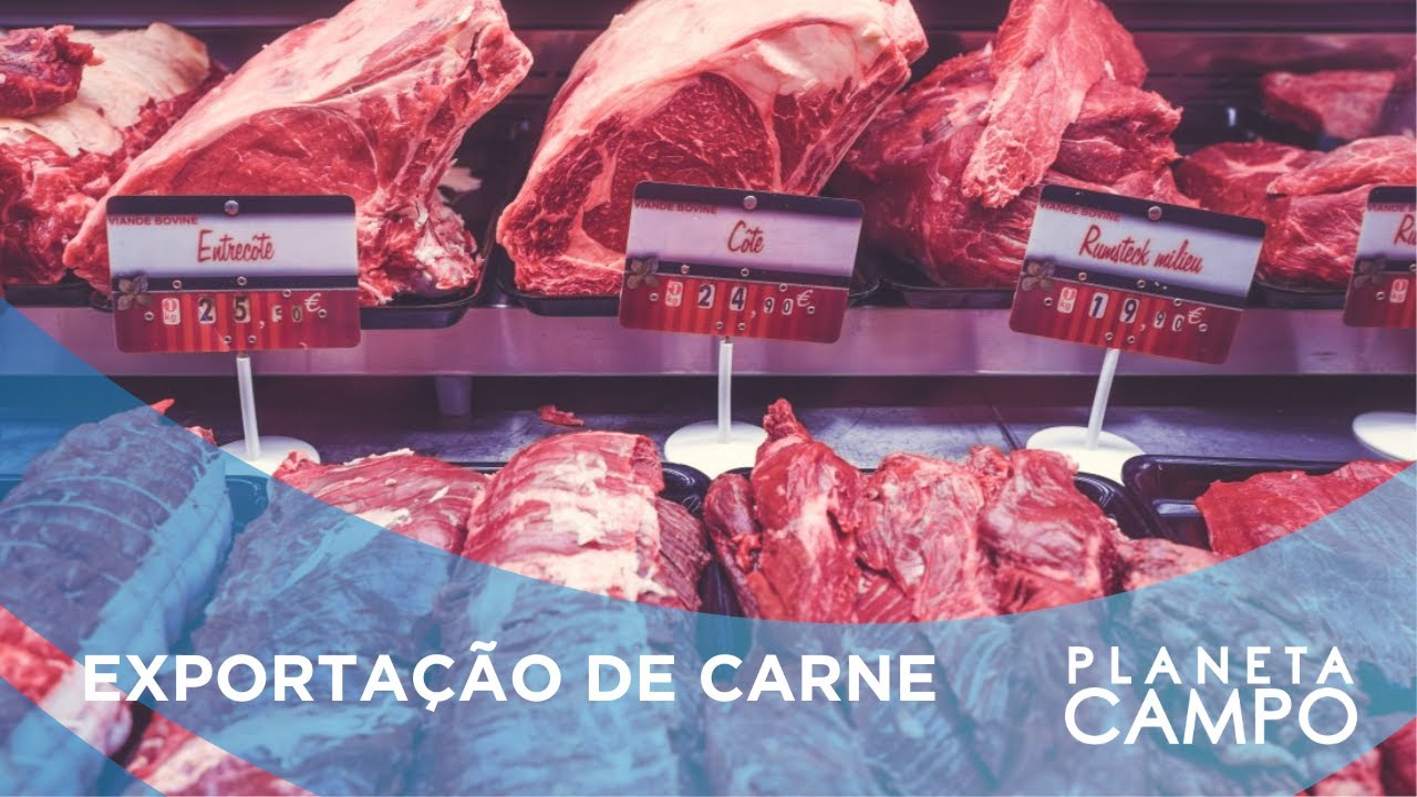 Crise na carne: França corta importações do Mercosul e frigoríficos brasileiros reagem