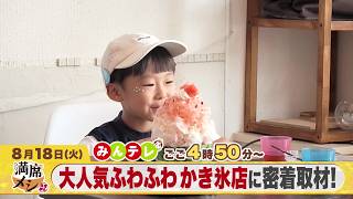 みんテレ