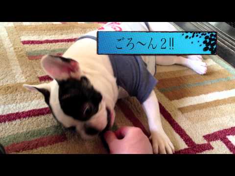 YouTube Preview Image