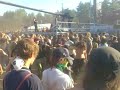 Zielone Żabki - pogo na koncercie 2 - Woodstock 2007