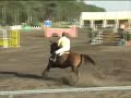 Herzberg M-Springen