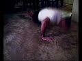 one arm pushups 31 reps