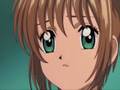 CCSakura Allison - 83- 87